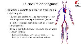 Comment compléter un trajet sanguin [upl. by Bathilda504]
