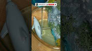 DIY Dolphin Waterfall Diorama [upl. by Aieken261]