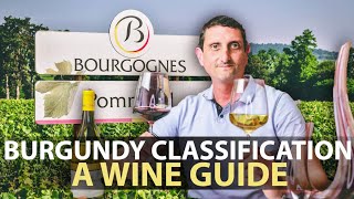 The Wine Classification System of Burgundy  Explained [upl. by Amadeus]