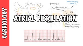 Atrial Fibrillation Overview  ECG types pathophysiology treatment complications [upl. by Alyakam353]