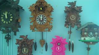 Cuckoo clock collectionMay 2018 [upl. by Ailecnarf]