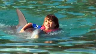 This Is Emily Yeung Swimming With Dolphins [upl. by Bodwell]