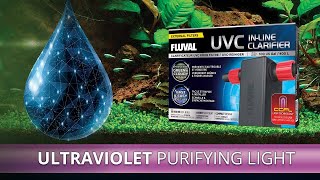 Fluval UVC InLine Clarifier [upl. by Hertzfeld851]