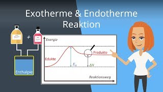 Exotherme und Endotherme Reaktionen  Beispiele und Energiediagramme [upl. by Oderfla]