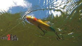 Fish Topwater Walking Baits Spooks for Offshore Bass [upl. by Nipha]