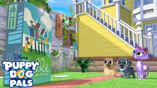 Boxing Day  Playtime with Puppy Dog Pals  Disney Junior [upl. by Sabba]