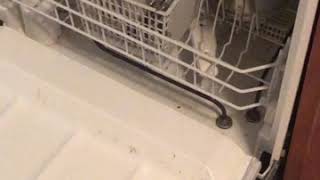 Hotpoint dishwasher how to start  guide [upl. by Eduard80]