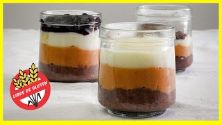 POSTRE FÁCIL y rápido SIN HORNO y SIN GLUTEN 1 preparación para 3 sabores [upl. by Ynnavoj2]