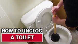 How to Unclog a Toilet  Ace Hardware [upl. by Orfinger]