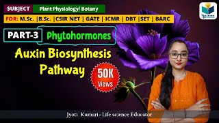 AUXIN BIOSYNTHESIS  PHYTOHORMONE PART3 CSIR NET PLANT BIOLOGY [upl. by Farlie473]