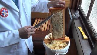 6 Harvesting and processing honey from your honeybees [upl. by Farrell]