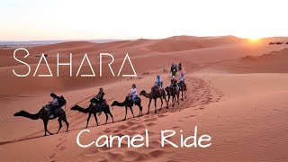 Sunset Camel Ride in the Sahara  Merzouga Morocco [upl. by Florinda]