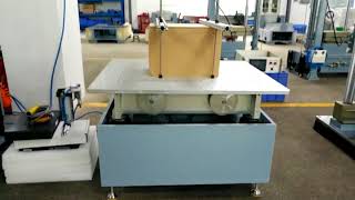 Mechanical Vibration Test Machine [upl. by Sorilda]