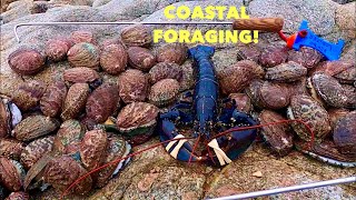 Amazing COASTAL FORAGING Day  Abalone amp Lobsters  Abalone Burgers on a bunker [upl. by Thetis250]