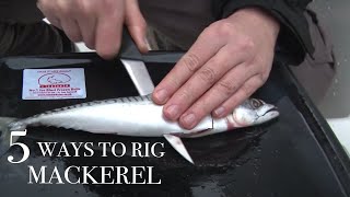 5 Ways to Rig a Mackerel [upl. by Anerec]