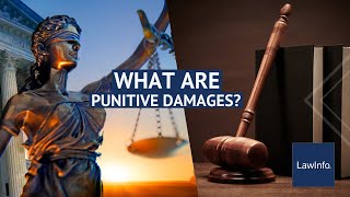 What Are Punitive Damages  LawInfo [upl. by Esorylime]