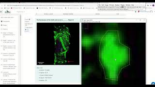 How to measure fluorescence in ImageJ [upl. by Eatnuahc]