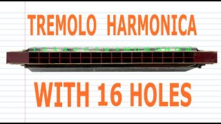 How to Play a Tremolo Harmonica with 16 Holes [upl. by Tavy817]