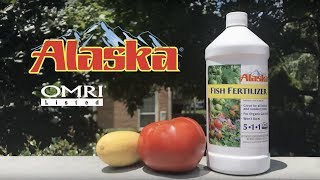 How to Use Alaska Fish Fertilizer [upl. by Julissa]