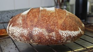 How to Make Sourdough Bread by Feel No Recipe [upl. by Spike]