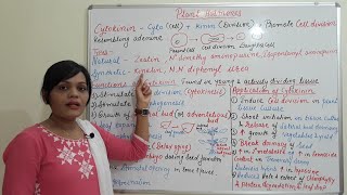 Class 25  Cytokinin  Introduction Function amp Application Types of Plant Hormone Part 02 [upl. by Rivi]