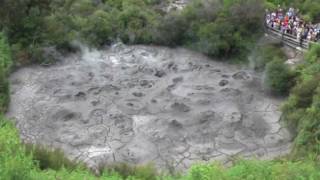 New Zealand Boiling Mud and Geyser  Rotorua New Zealand [upl. by Llydnek267]