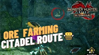 Monster Hunter Rise Sunbreak  Citadel Ore Farming Route [upl. by Otanod]