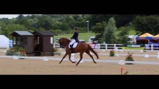 Hartpury College Equine [upl. by Aneelehs835]