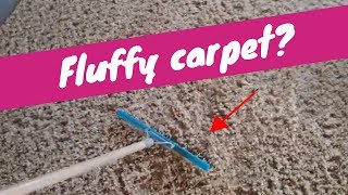 How to Fluff Carpet  Rendalls Cleaning [upl. by Enayd]