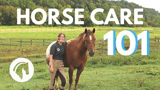 HOW TO CARE FOR A HORSE Complete Guide [upl. by Manara]