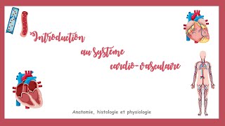 Introduction au système cardiovasculaire [upl. by Rolecnahc]