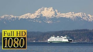 Bremerton Ferry ⛴  Seattle Day Trip [upl. by Chanda]