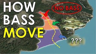 Pro Tip for Finding Bass On Any Lake  Bass Fishing Beginner Guide [upl. by Yttel407]